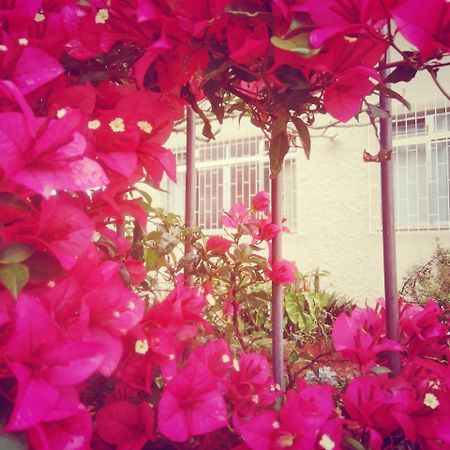 Hostel Nossa Casa Florianopolis Ngoại thất bức ảnh