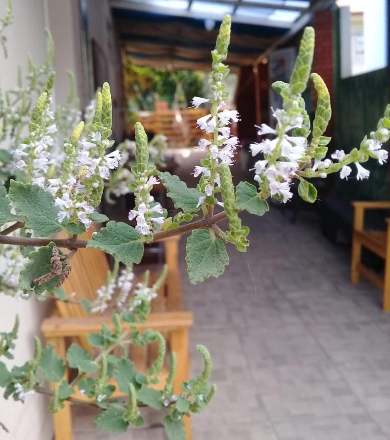 Hostel Nossa Casa Florianopolis Ngoại thất bức ảnh