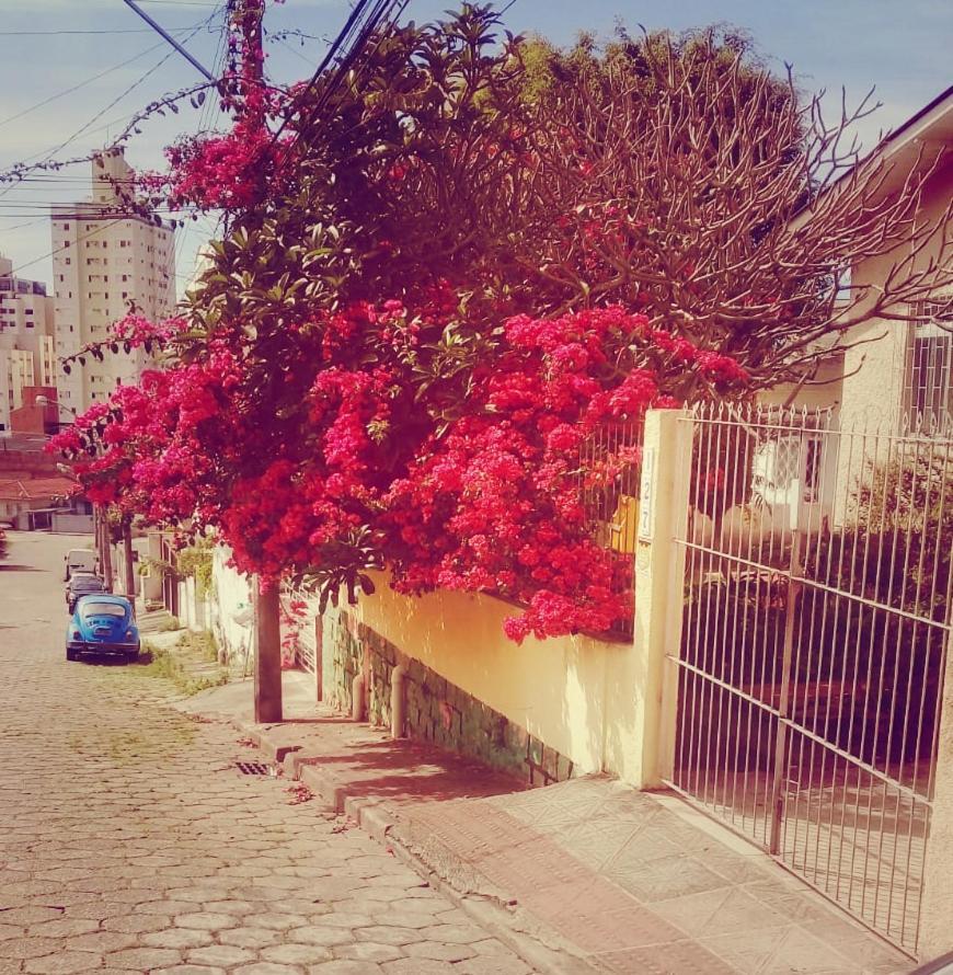 Hostel Nossa Casa Florianopolis Ngoại thất bức ảnh