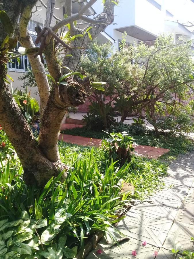 Hostel Nossa Casa Florianopolis Ngoại thất bức ảnh